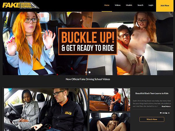 Fake Driving School